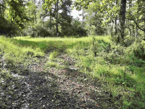 0 Dutch Hollow Road Weston WV 26452