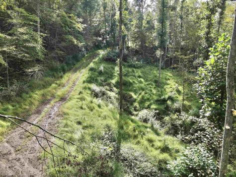 0 Dutch Hollow Road Weston WV 26452