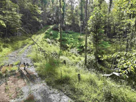 0 Dutch Hollow Road Weston WV 26452