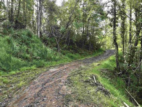 0 Dutch Hollow Road Weston WV 26452