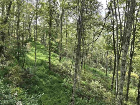 0 Dutch Hollow Road Weston WV 26452