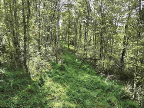 0 Dutch Hollow Road Weston WV 26452