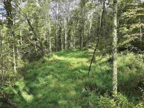 0 Dutch Hollow Road Weston WV 26452