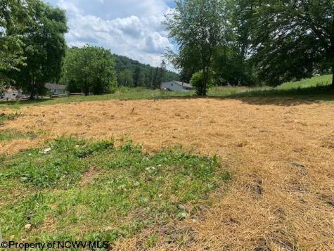 254 Third Street Belington WV 26250