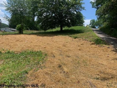 254 Third Street Belington WV 26250