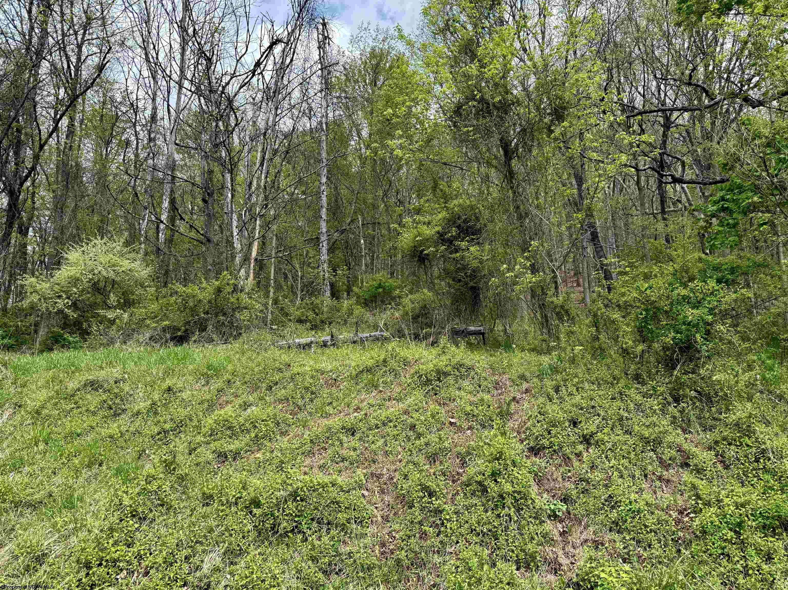 0 Highland Avenue Mannington WV 26582