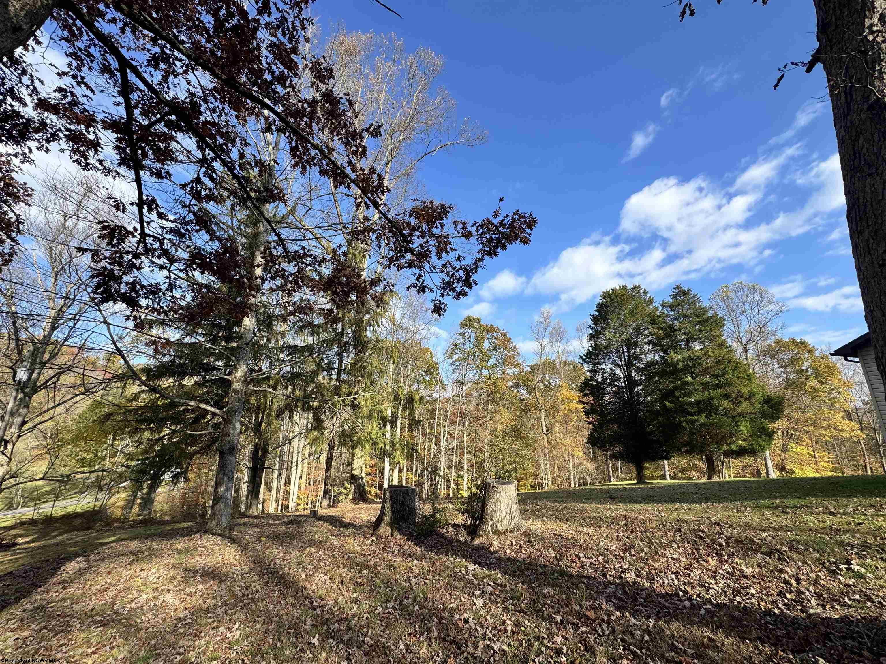 0 Johnson Run Fairmont WV 26554
