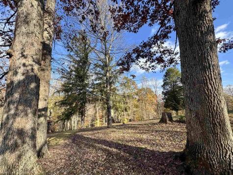 0 Johnson Run Fairmont WV 26554