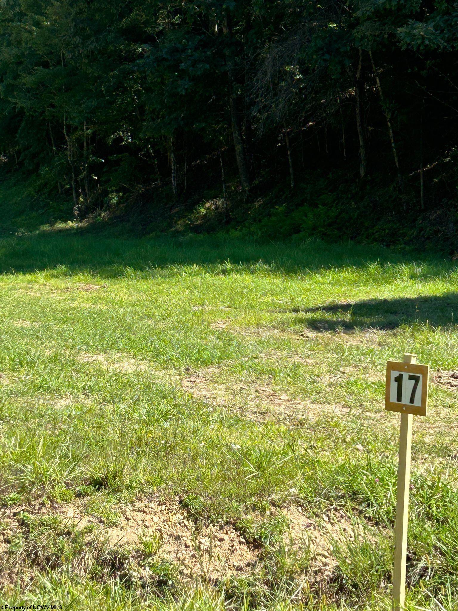17 Countryside Drive Buckhannon WV 26201