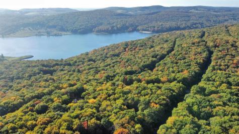 0 E Alpine Drive Terra Alta WV 26764