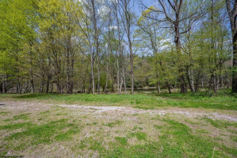0 Route 1 (RR) Parsons WV 26287