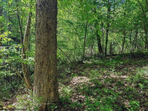 3372 Dinkenberger Road Kingwood WV 26537
