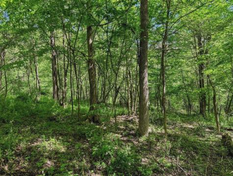 3372 Dinkenberger Road Kingwood WV 26537