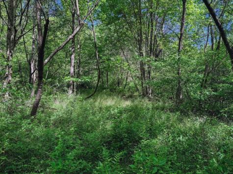 3372 Dinkenberger Road Kingwood WV 26537