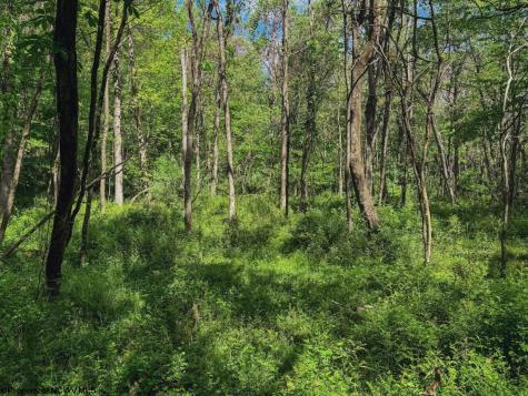 3372 Dinkenberger Road Kingwood WV 26537