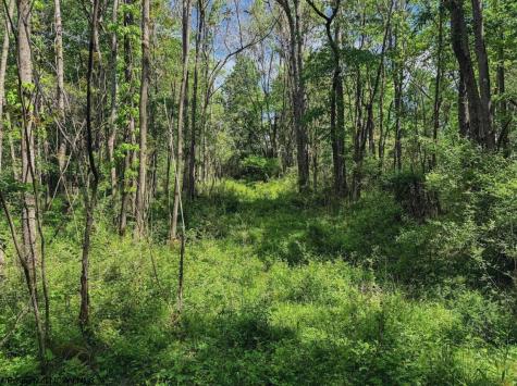 3372 Dinkenberger Road Kingwood WV 26537