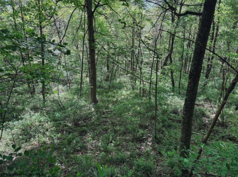 3372 Dinkenberger Road Kingwood WV 26537