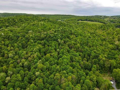 3372 Dinkenberger Road Kingwood WV 26537