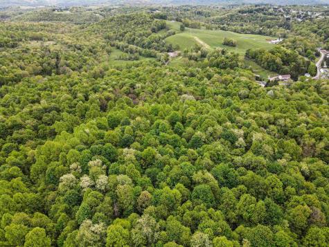 3372 Dinkenberger Road Kingwood WV 26537