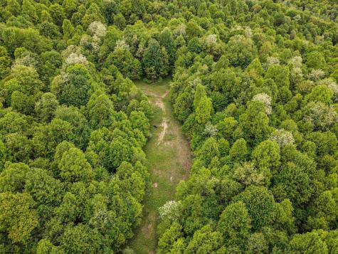 3372 Dinkenberger Road Kingwood WV 26537