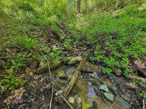 3372 Dinkenberger Road Kingwood WV 26537