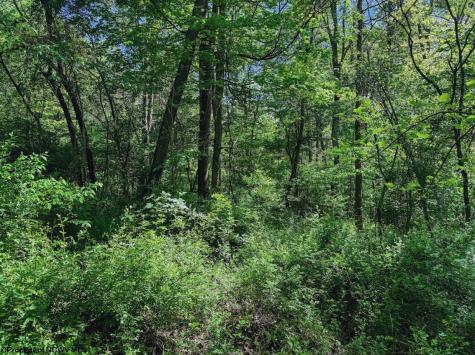 3372 Dinkenberger Road Kingwood WV 26537
