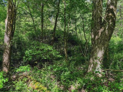 3372 Dinkenberger Road Kingwood WV 26537