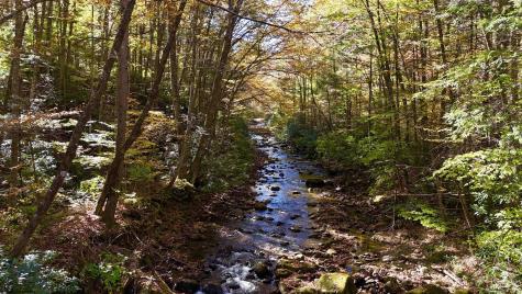 2453 Channel Road Mill Creek WV 26280