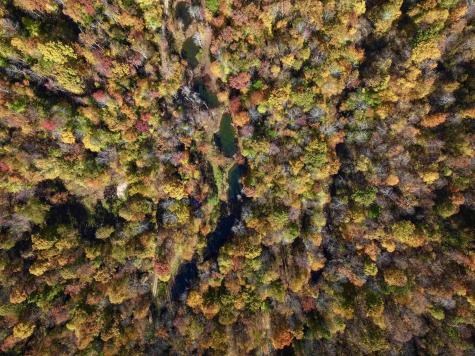 2453 Channel Road Mill Creek WV 26280