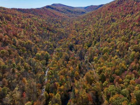 2453 Channel Road Mill Creek WV 26280