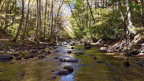 2453 Channel Road Mill Creek WV 26280