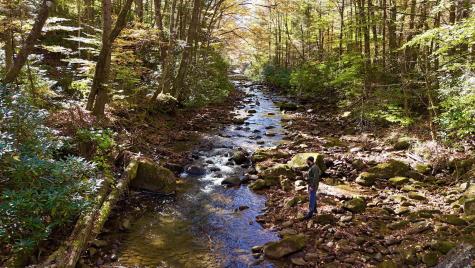 2453 Channel Road Mill Creek WV 26280