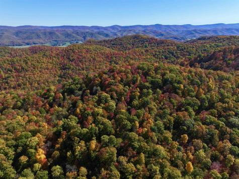 2453 Channel Road Mill Creek WV 26280