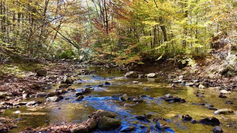 2453 Channel Road Mill Creek WV 26280