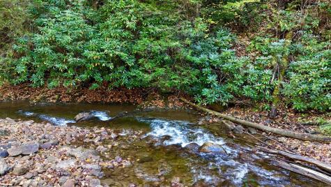 2453 Channel Road Mill Creek WV 26280