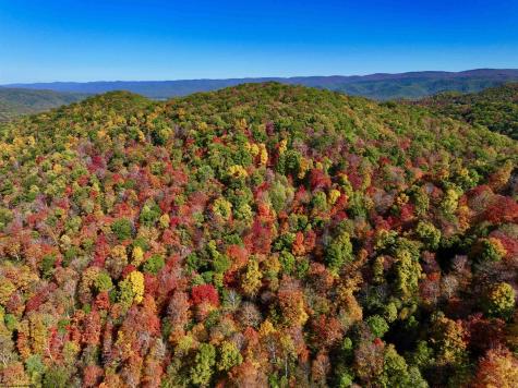 2453 Channel Road Mill Creek WV 26280