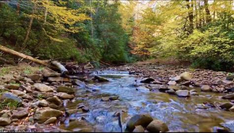 2453 Channel Road Mill Creek WV 26280