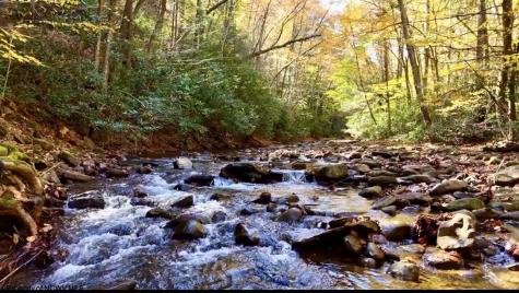 2453 Channel Road Mill Creek WV 26280