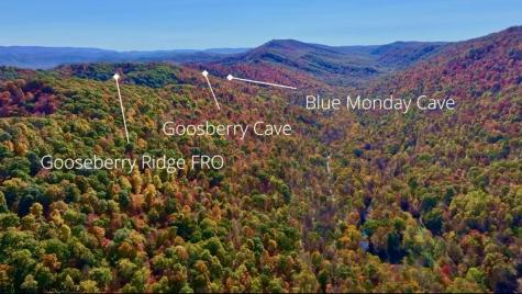 2453 Channel Road Mill Creek WV 26280