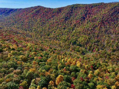 2453 Channel Road Mill Creek WV 26280