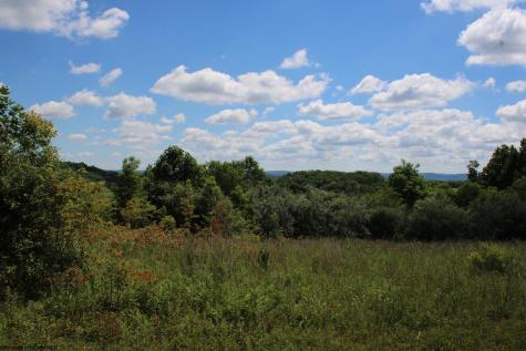 6 Gladesville Road Independence WV 26374