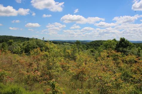 6 Gladesville Road Independence WV 26374