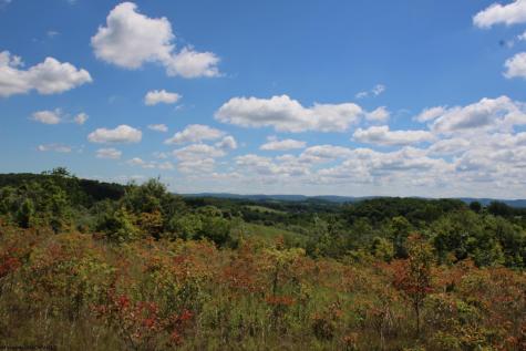 6 Gladesville Road Independence WV 26374