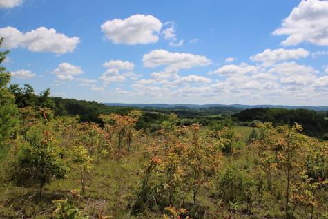 6 Gladesville Road Independence WV 26374