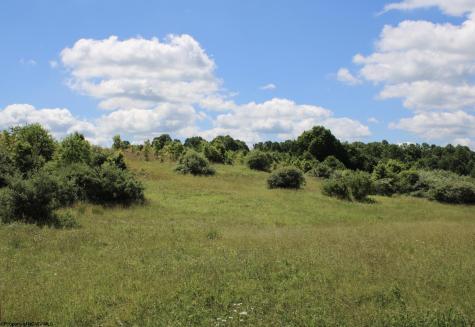 6 Gladesville Road Independence WV 26374