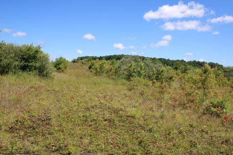 6 Gladesville Road Independence WV 26374