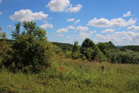 6 Gladesville Road Independence WV 26374