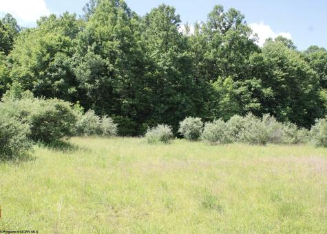 6 Gladesville Road Independence WV 26374
