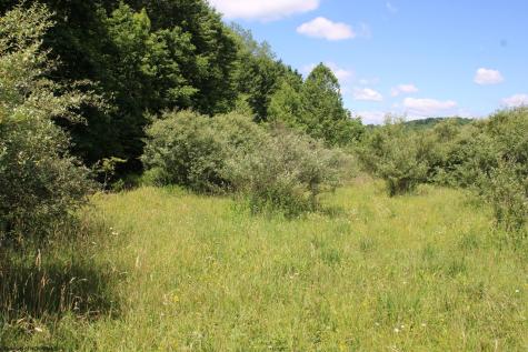 6 Gladesville Road Independence WV 26374