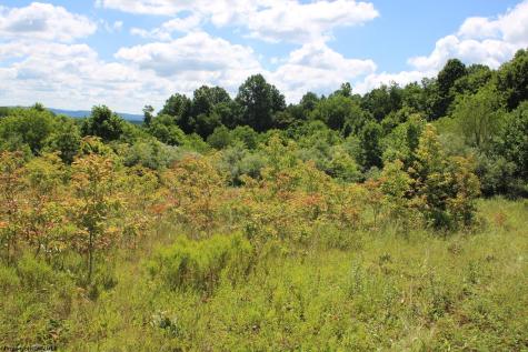 6 Gladesville Road Independence WV 26374